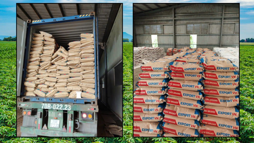 EXPORTVN – Your Trusted Tapioca Starch Supplier