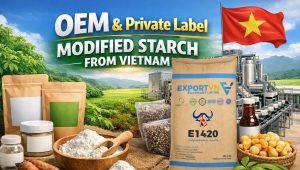 OEM & Private Label Modified Starch from Vietnam