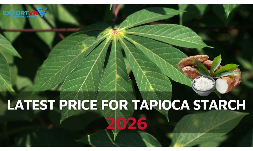 Latest Price for Tapioca Starch 2026