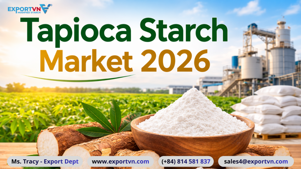 Tapioca Starch Market 2026: Global Demand, Price Trends and Supply from Vietnam
