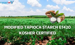 Modified Tapioca Starch E1420 Kosher Certified