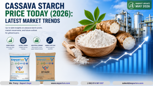 Cassava Starch Price Today (2026)_ Latest Market Trends