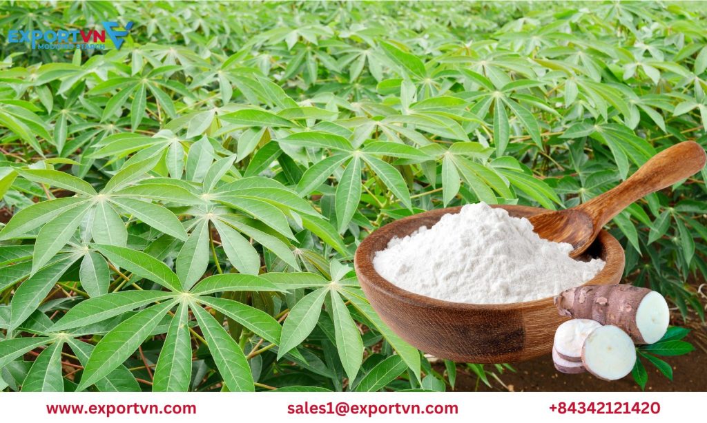 What Is Hydroxypropyl Starch (HP Starch) INS 1440