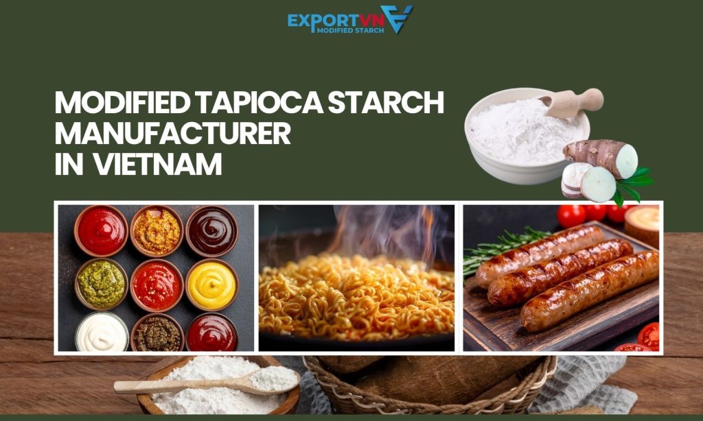 Modified Tapioca Starch Manufacturer in Vietnam