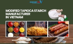 Modified Tapioca Starch Manufacturer in Vietnam